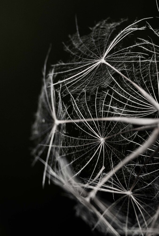 Photograph by Евгения Бурлуцкая