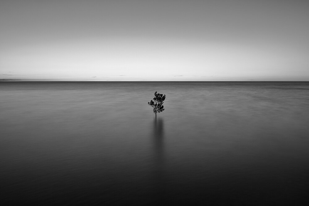 Photograph by Arnis Krūmiņš