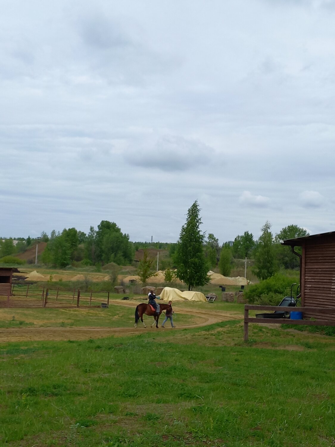 Photo #13824921