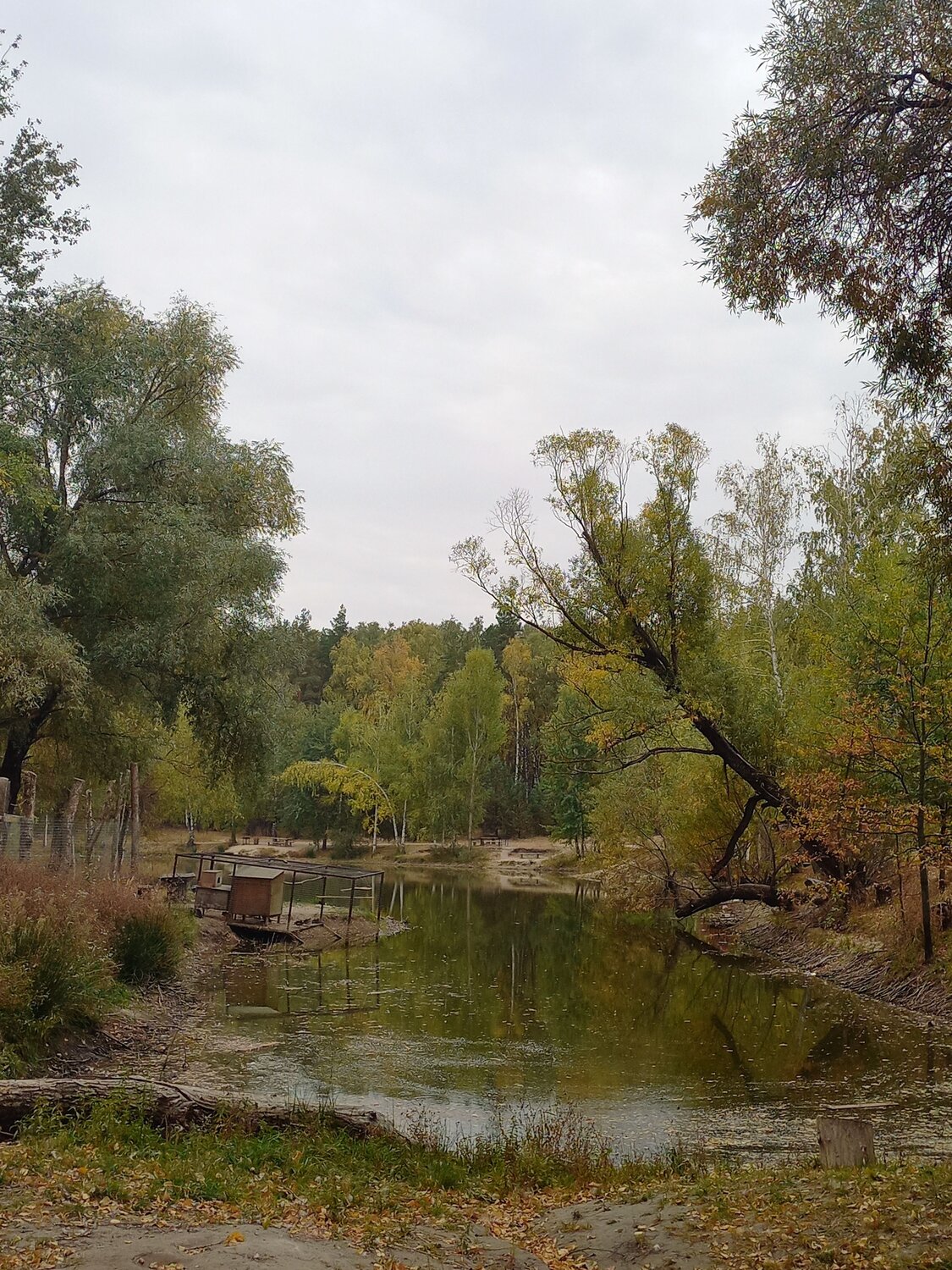 Photo #13824935