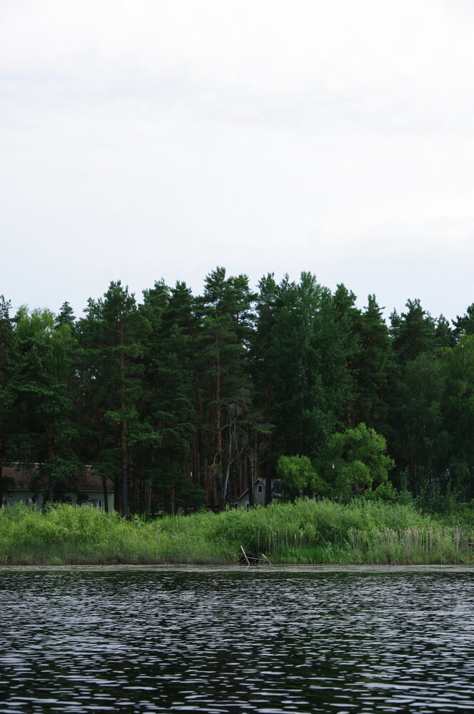 Photograph by Анастасия Журавлева