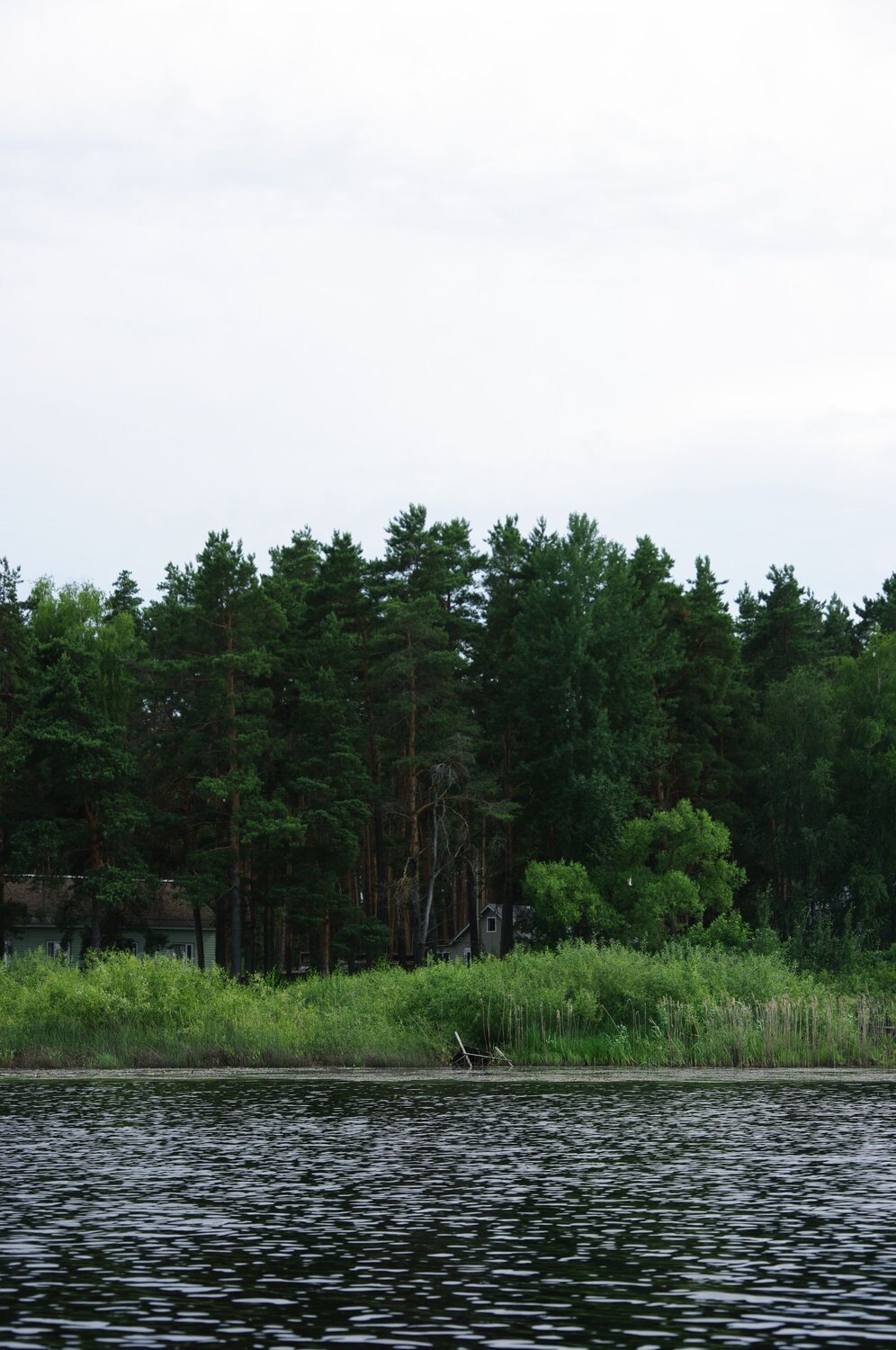 Photo #13824963