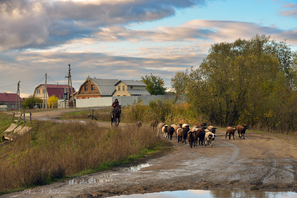 Осень в Сухановке