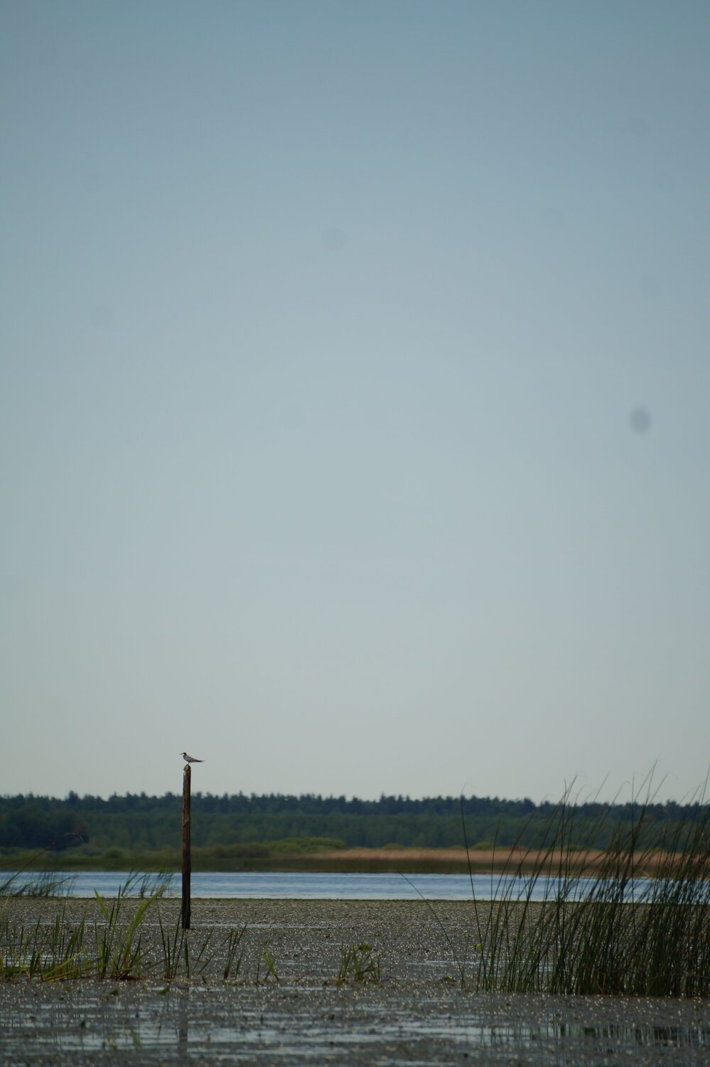 Photo #13824982