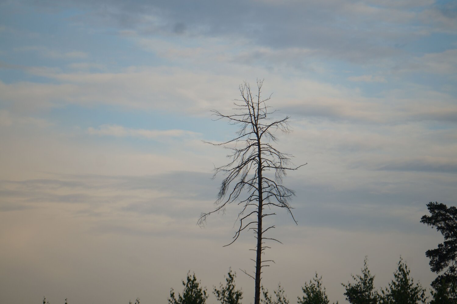 Photo #13824984