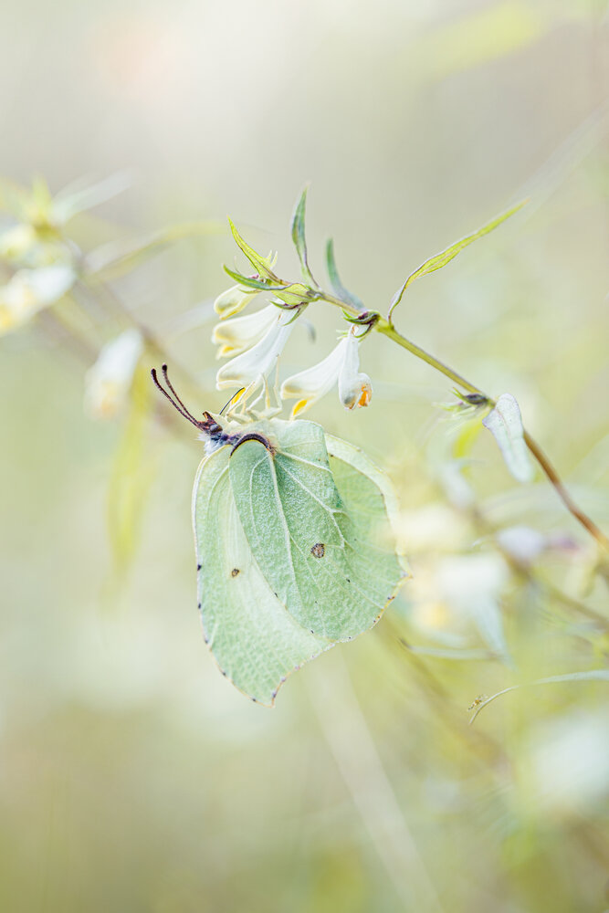Photograph by Ekaterina Barashkova