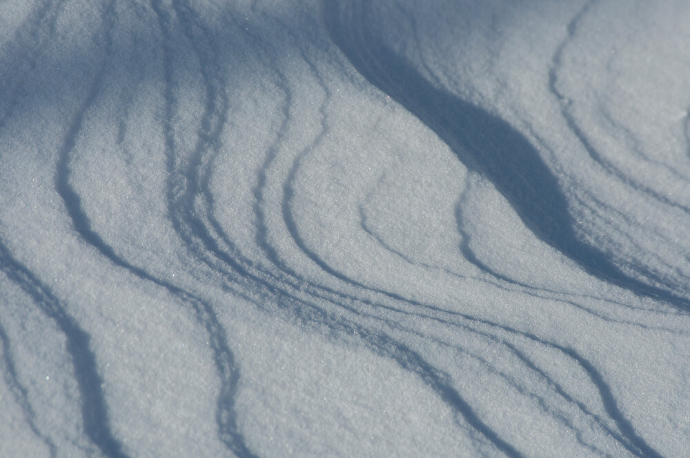 Photograph by Елена Фурашова