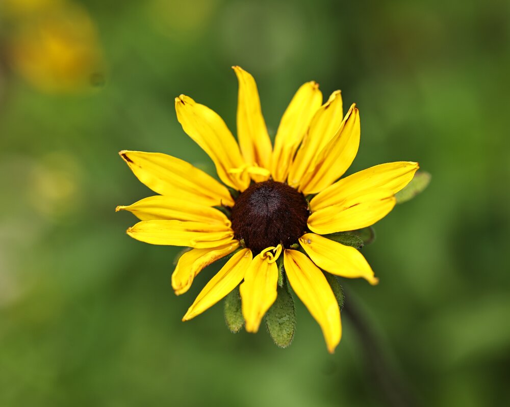 Photograph by Елена Одынец