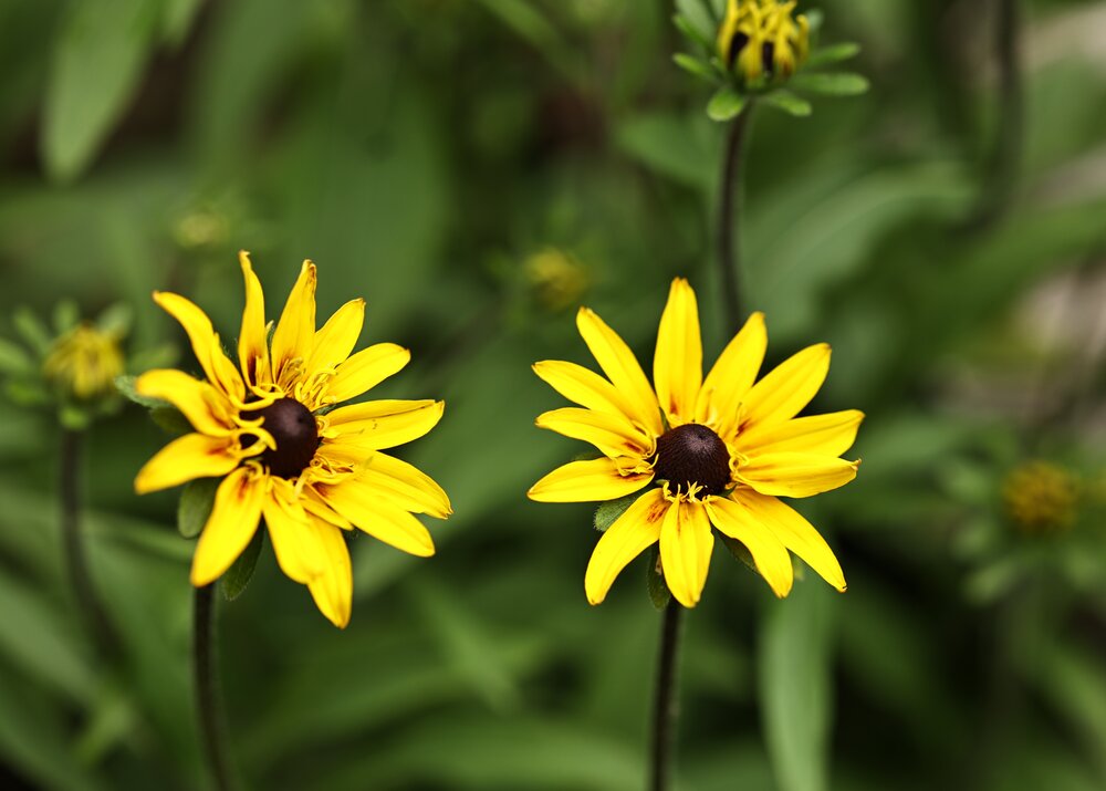 Photograph by Елена Одынец