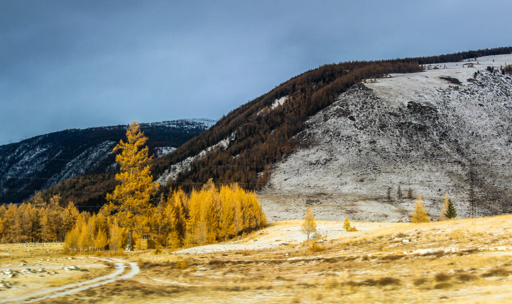 Photograph by Евгения Флиорчук