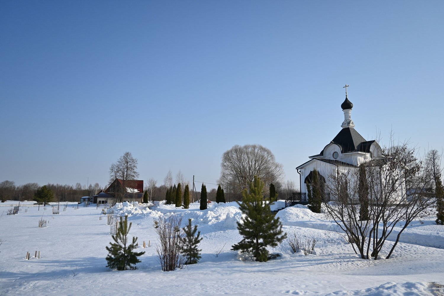Photo #13825212