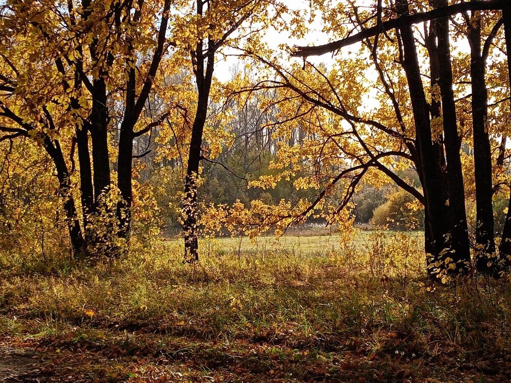 Photo #13825213