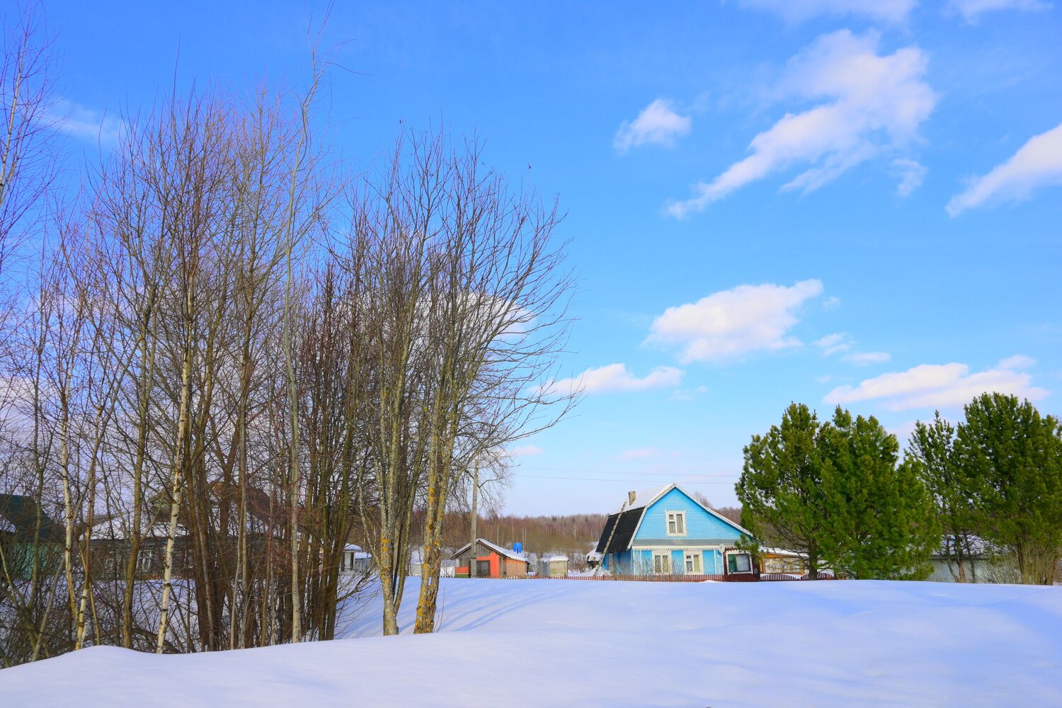 Photo #13825232