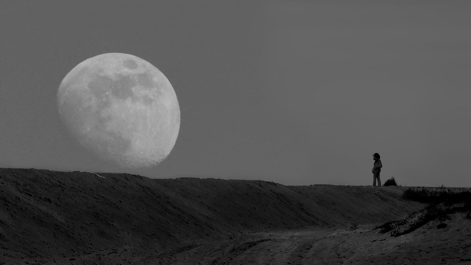 Photo #13825239