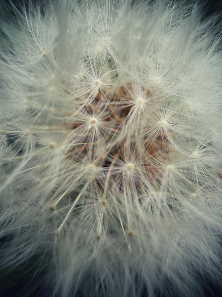 Photograph by Марина Сальникова