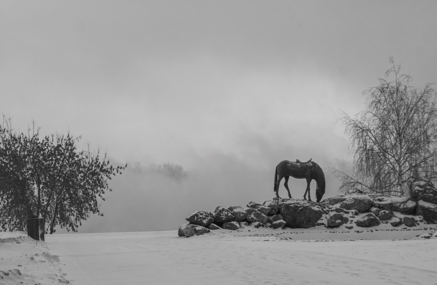 Photo #13825246