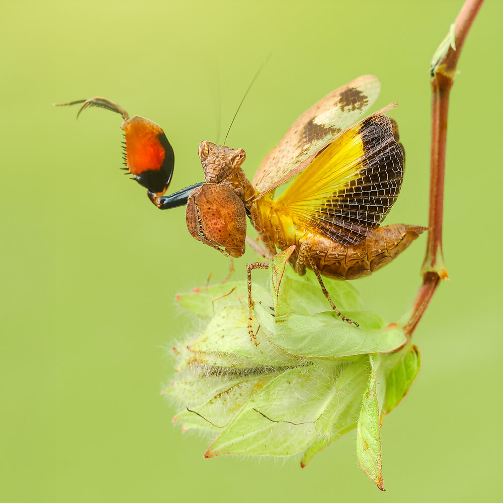 Photograph by Ly Phu Tai