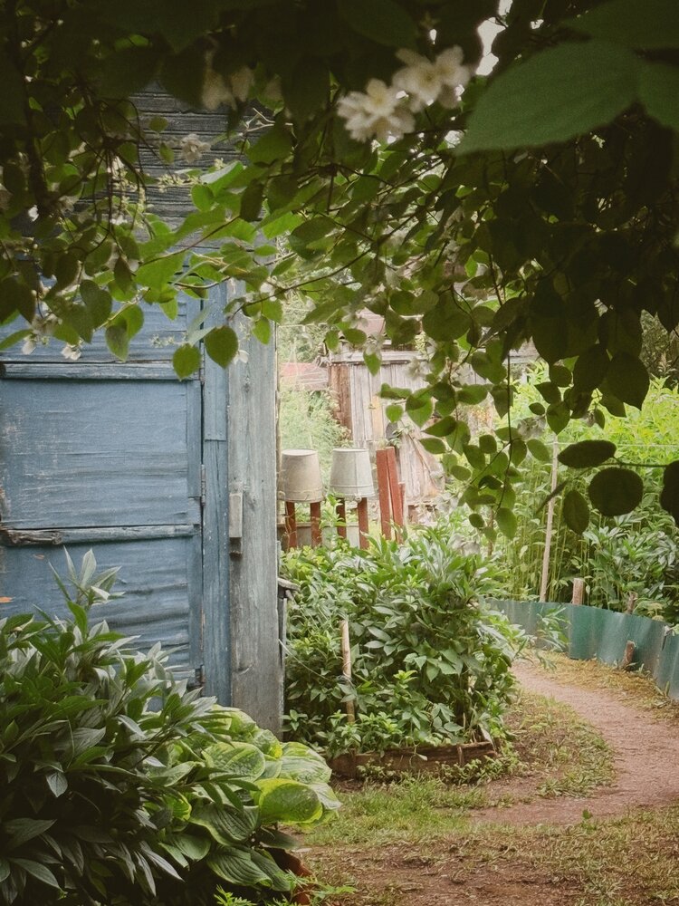 Photograph by Анна Столбова