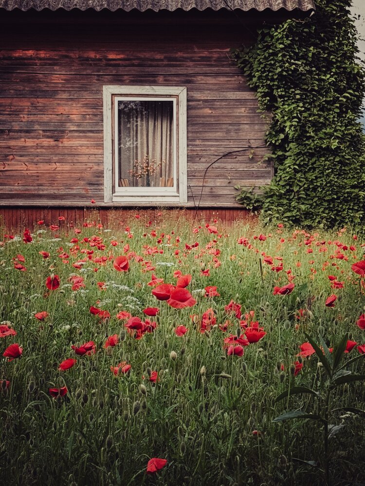 Photograph by Анна Столбова