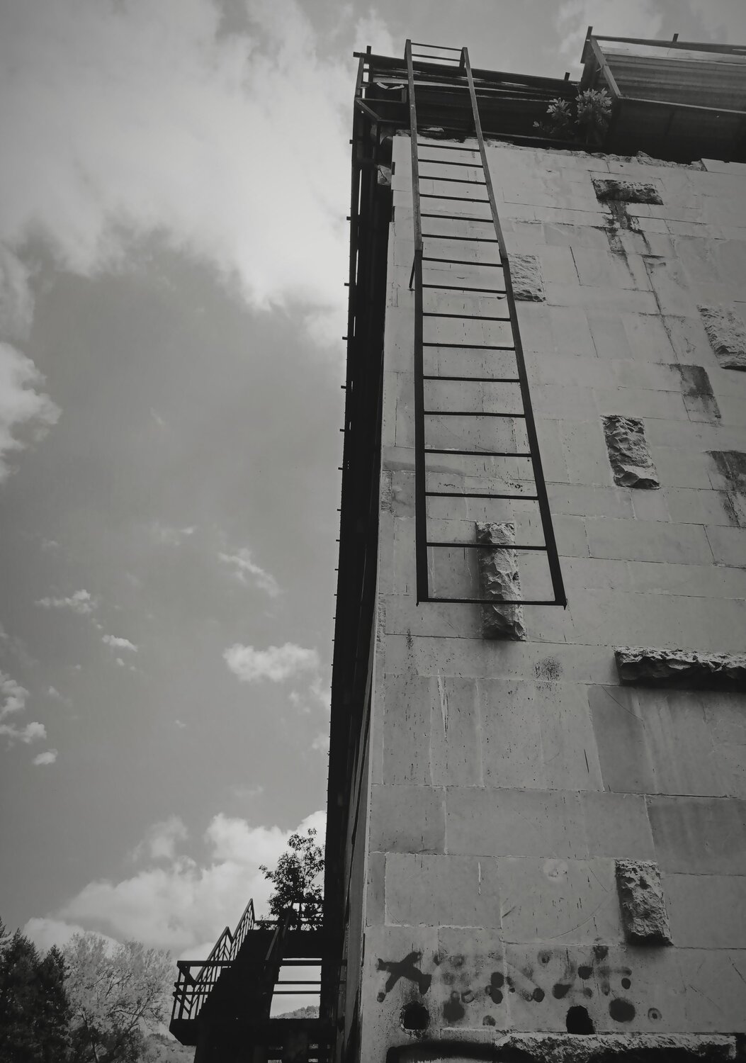 Photo #13825289
