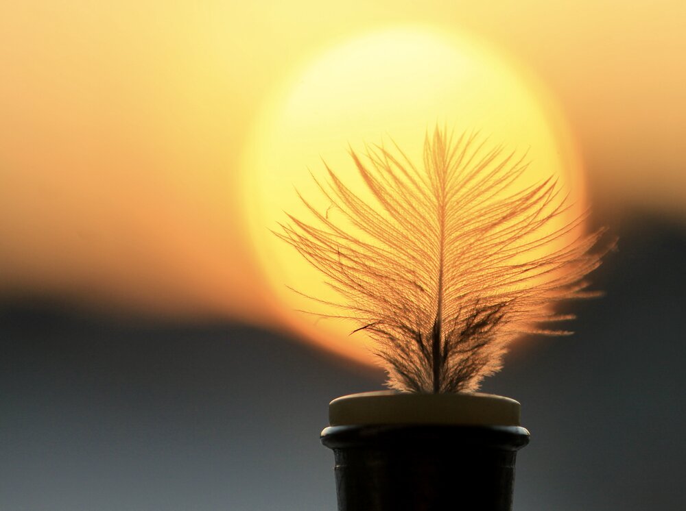 Photograph by Леунина Людмила
