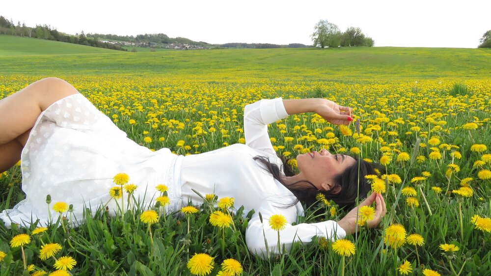 Among Dandelions