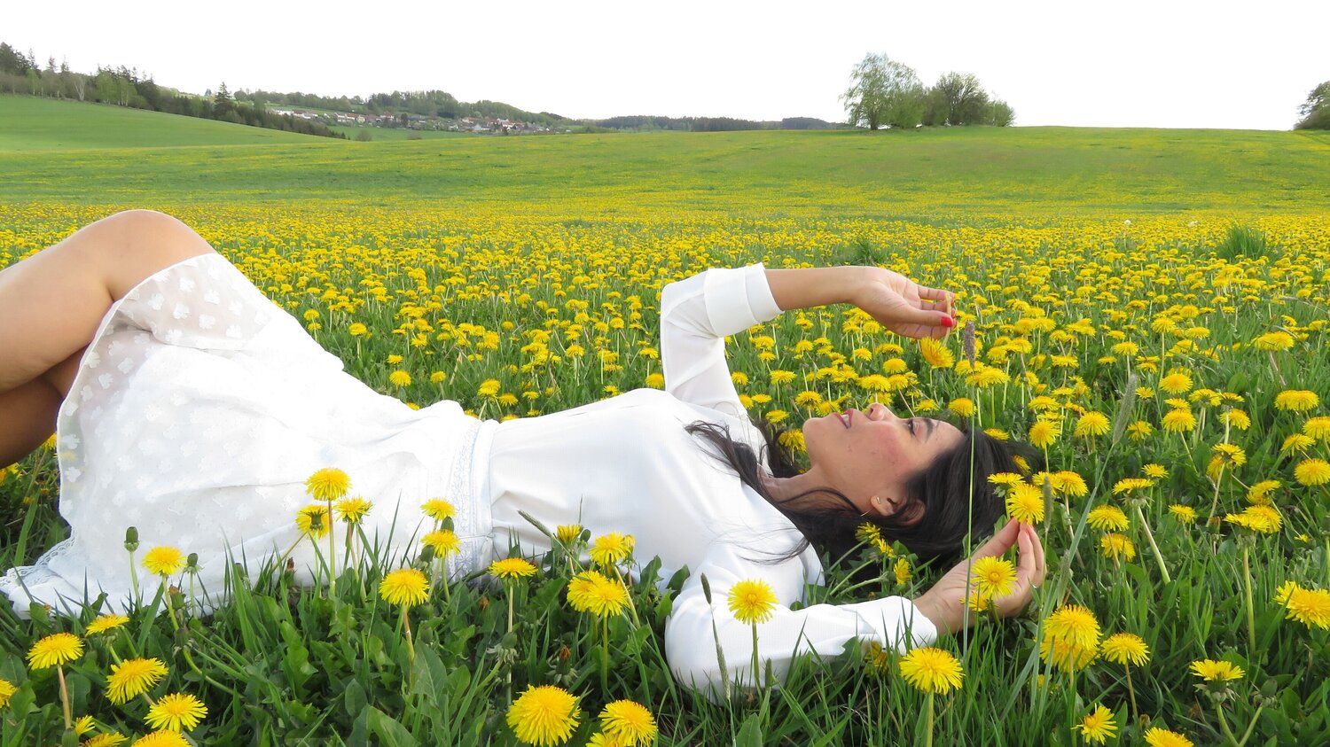 Among Dandelions
