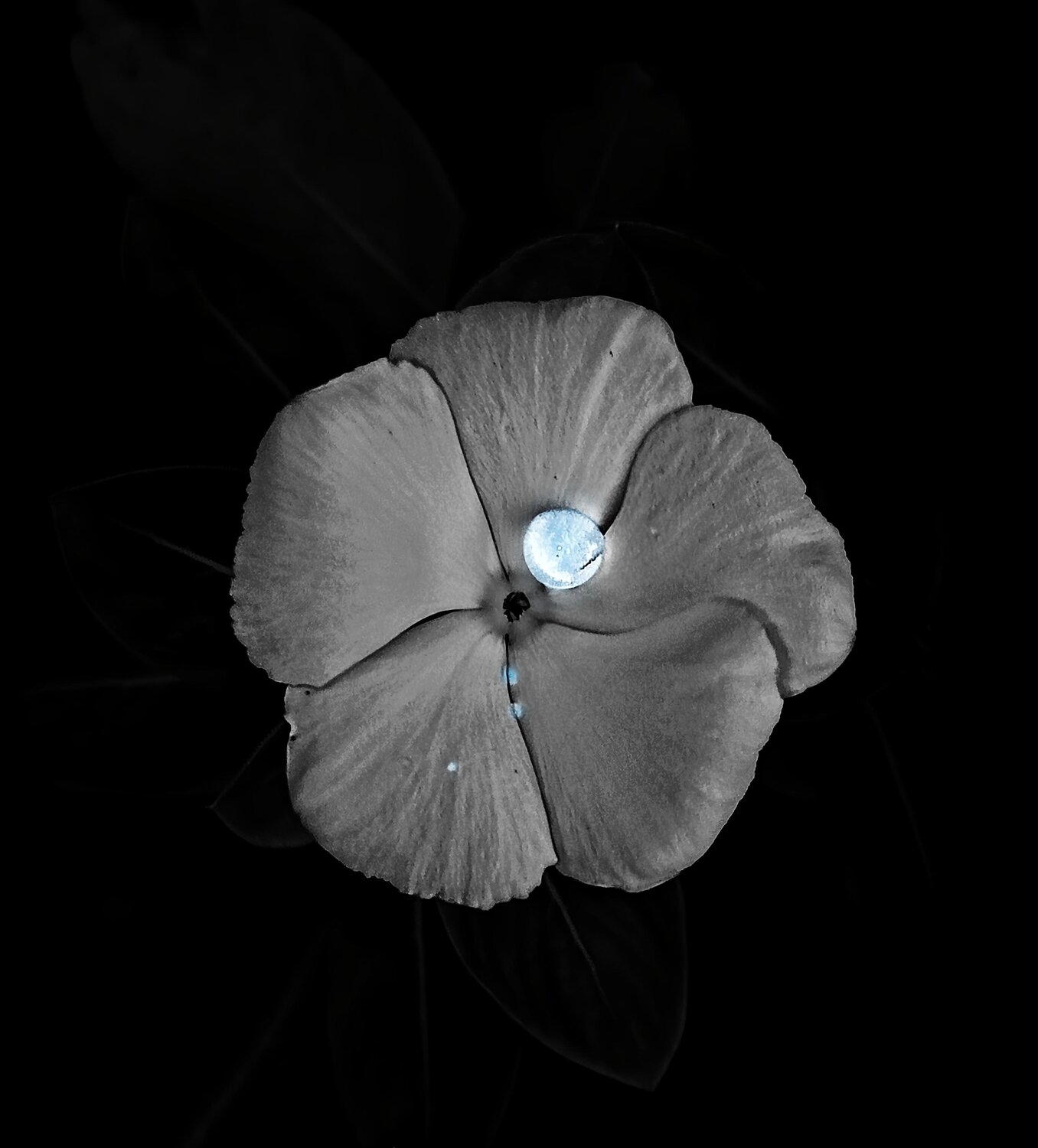 Celestial tear