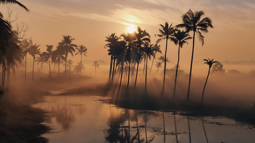 The First Light.