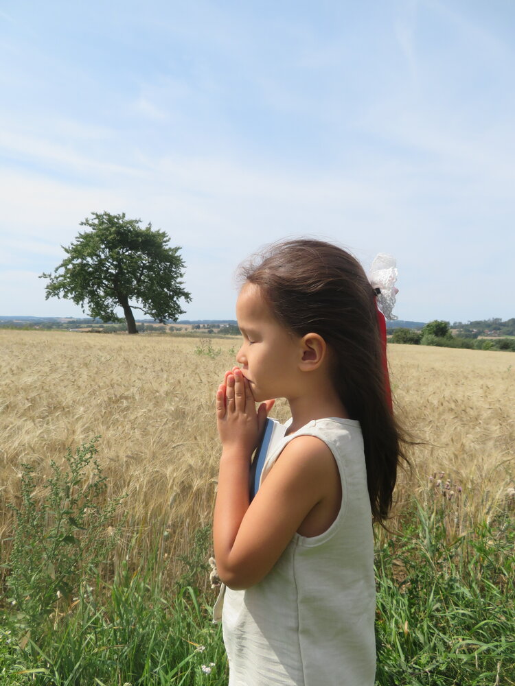 A wish in the Wheat field