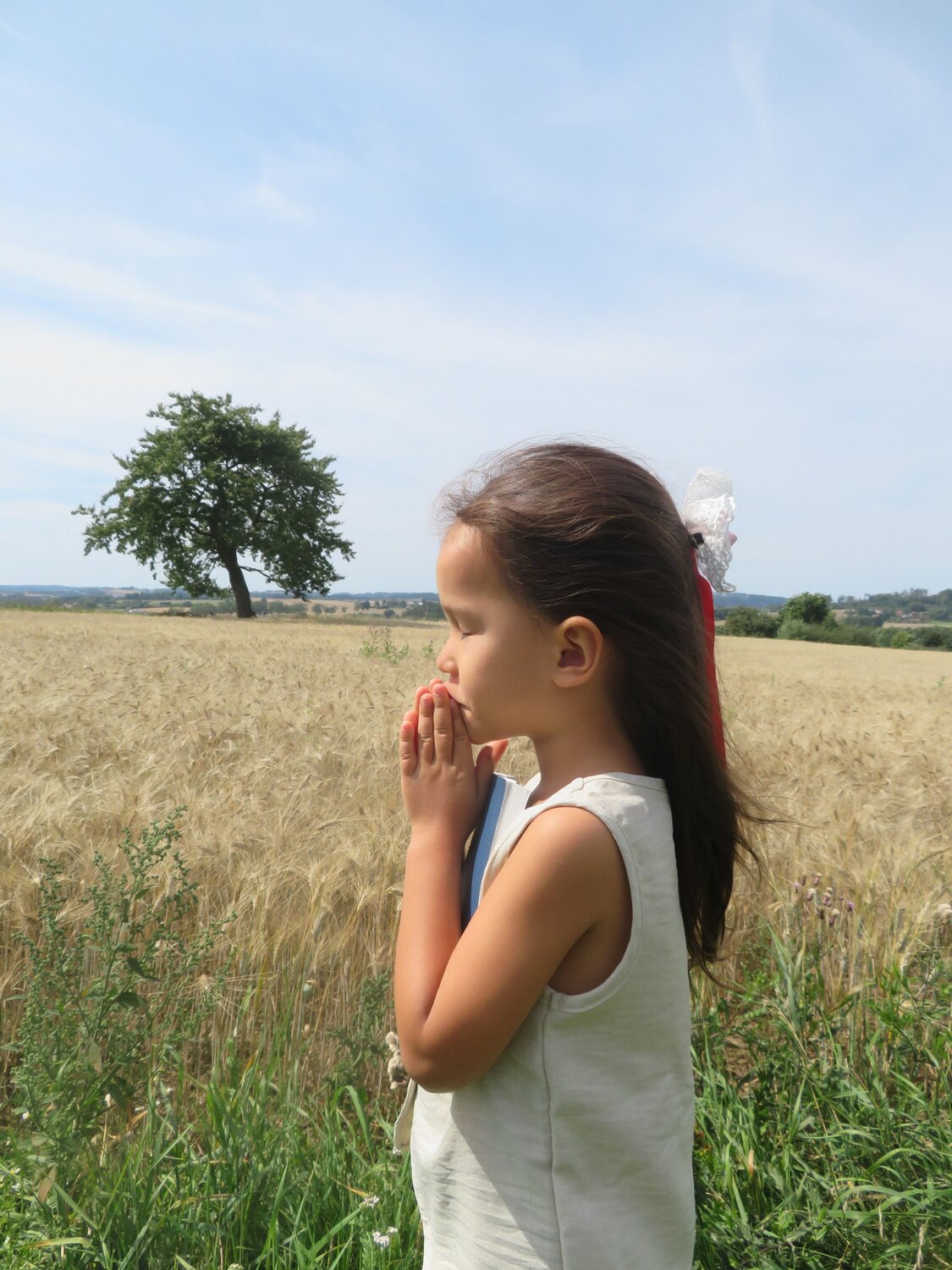 A wish in the Wheat field