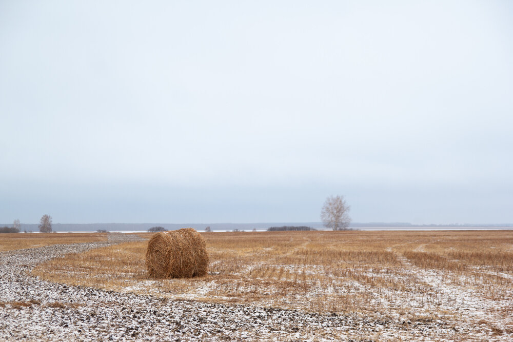 Photograph by Екатерина Брехова