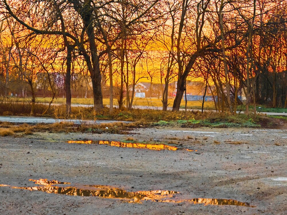Photograph by OXANA NAUMOVA