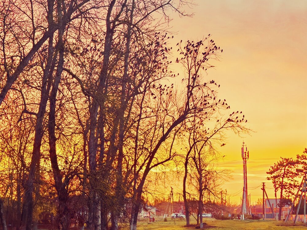 Photograph by OXANA NAUMOVA