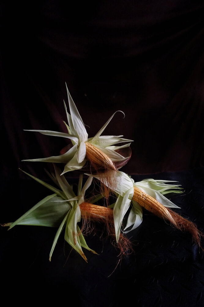 Harvest