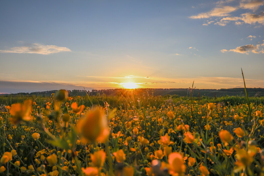 Photograph by Рустам Сафин
