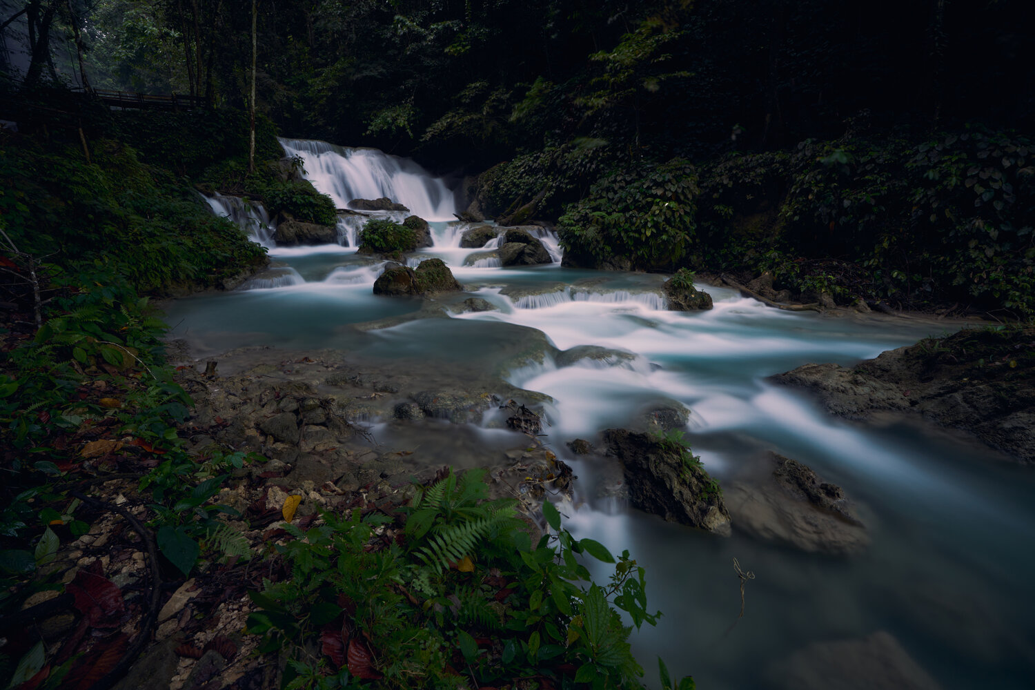 water flow in the dark forest
