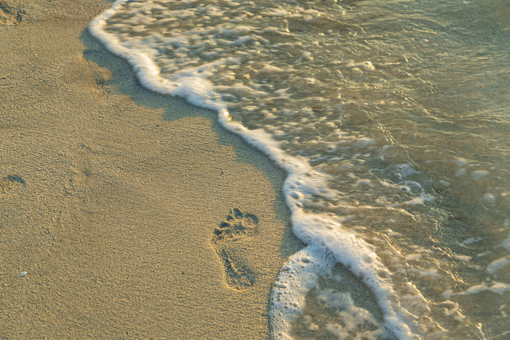 Photograph by Каргин Валерий