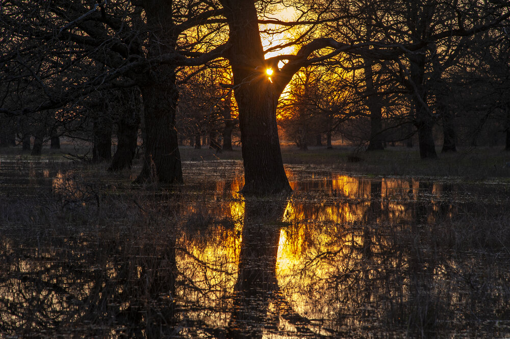 Photograph by АНДРЕЙ АБАКУМОВ