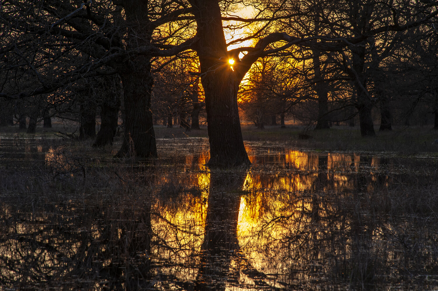 Photo #13825621