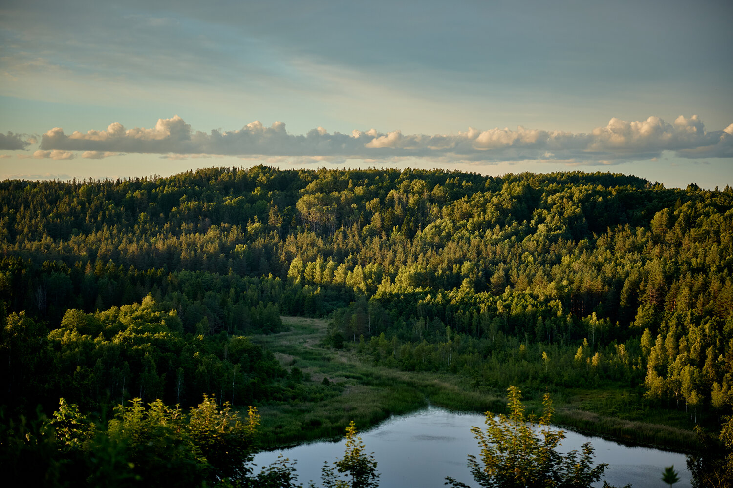 Photo #13825626