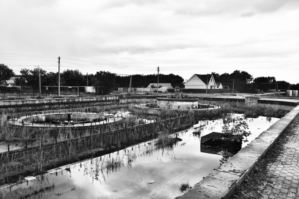 Фотография автора Дарья Огородникова