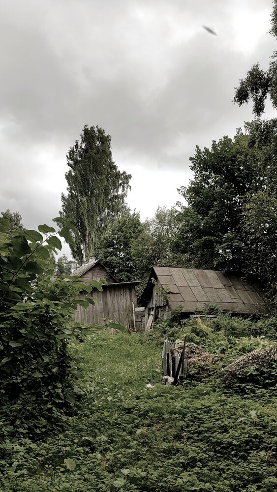Photograph by Елена Юдина