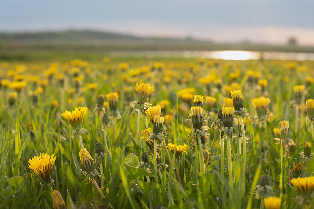 Photograph by Полина Хрол
