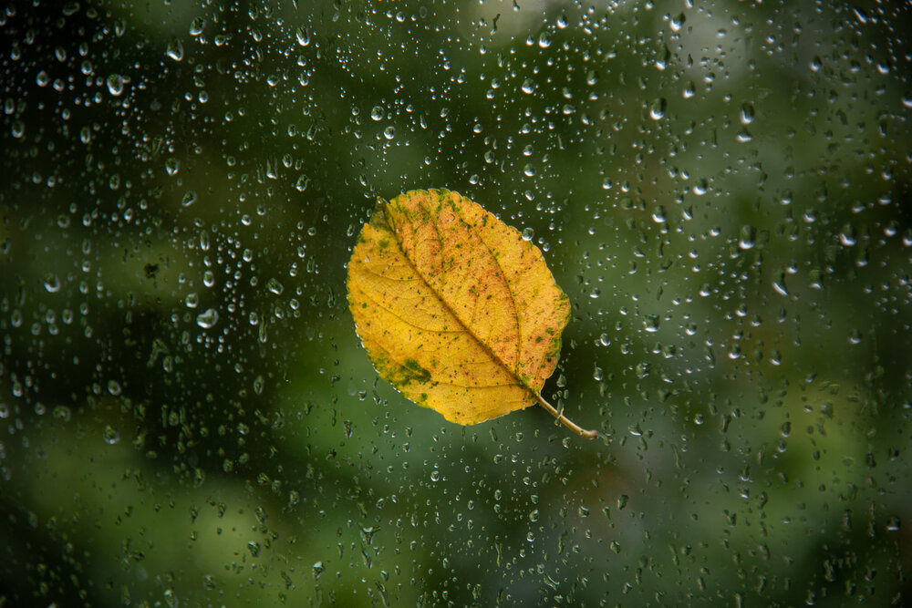 Photograph by Наталья Темная