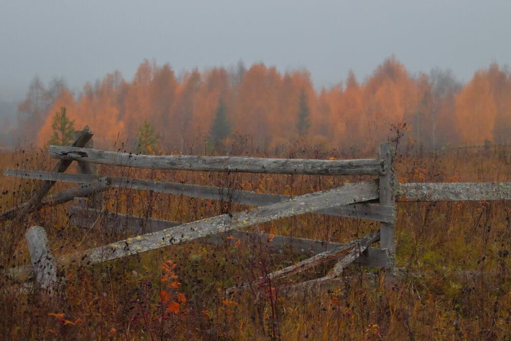 Photograph by Андрей Вешняков