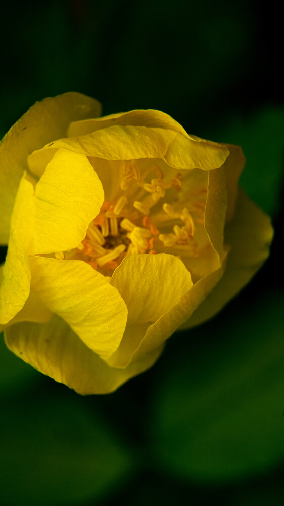 Photograph by Нина Малютина