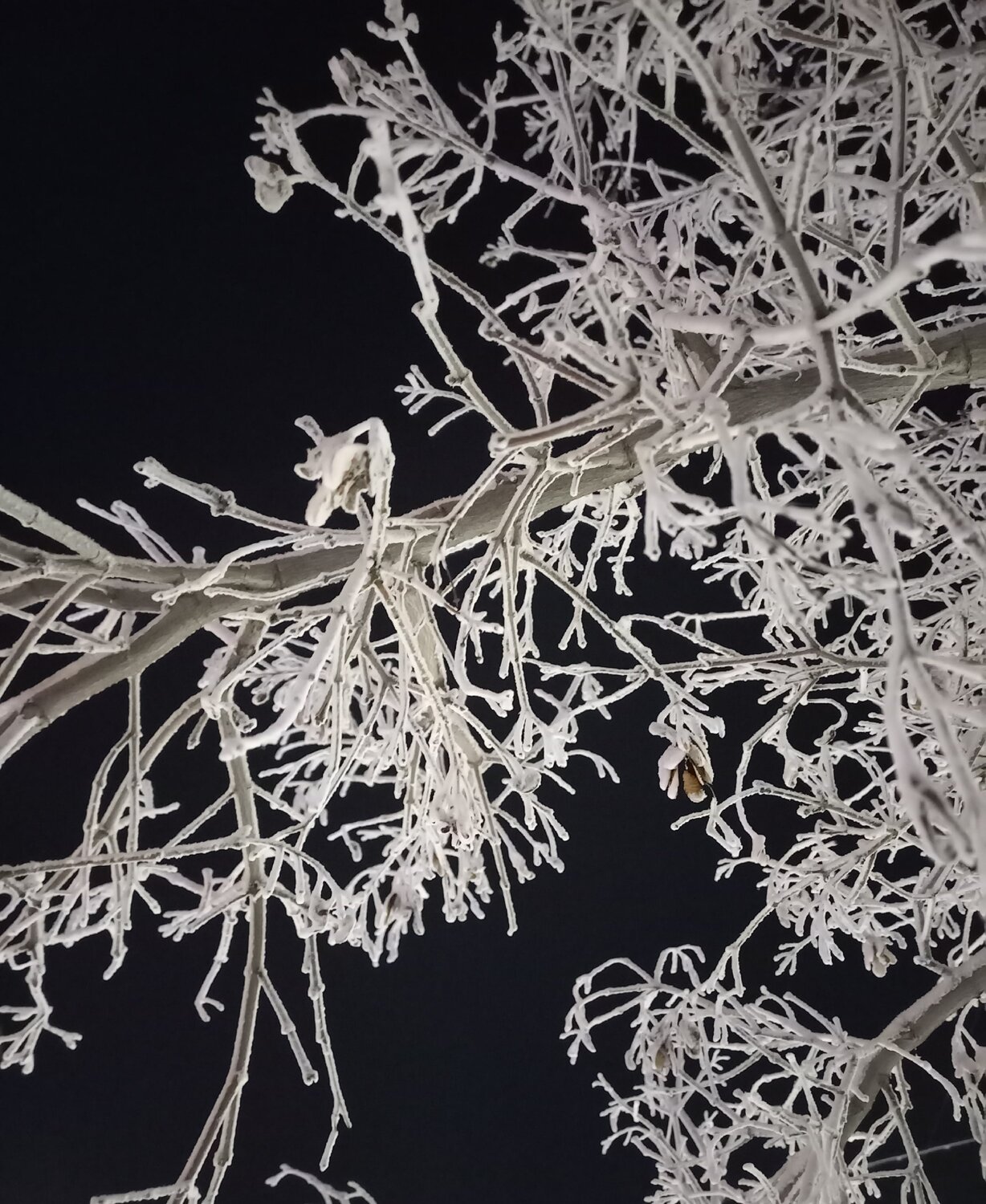 Фотография #13825740