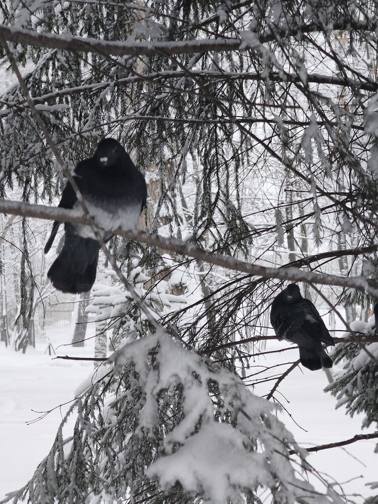 Photograph by Olena Chertous