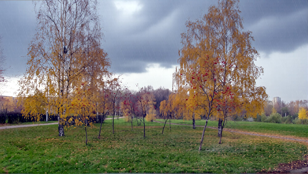 Photograph by Анатолий Чарушин